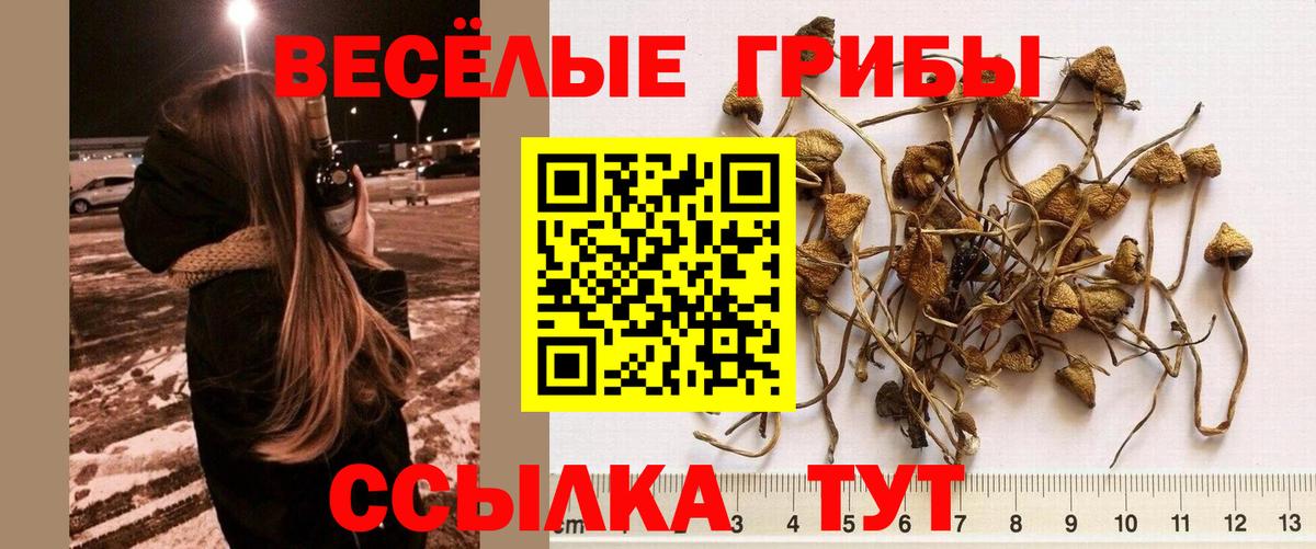 Петровск  Псилоцибиновые грибы Magic Shrooms  Вход с VPN  Псилоцибиновые грибы мицелий 