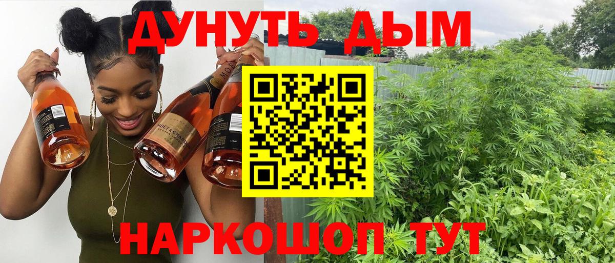 Бошки Шишки Amnesia Петровск